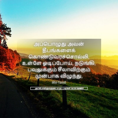 Picture 05 - அப்போஸ்தலருடைய நடபடிகள் 16:29 TAMIRV - அப்பொழுது அவன் - Bible Verse Picture
