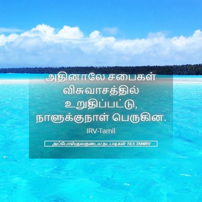 Picture 05 - அப்போஸ்தலருடைய நடபடிகள் 16:5 TAMIRV - அதினாலே சபைகள் - Bible Verse Picture