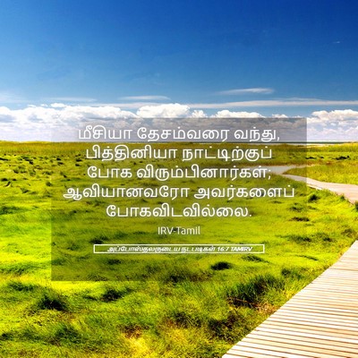 Picture 05 - அப்போஸ்தலருடைய நடபடிகள் 16:7 TAMIRV - மீசியா தேசம்வரை - Bible Verse Picture