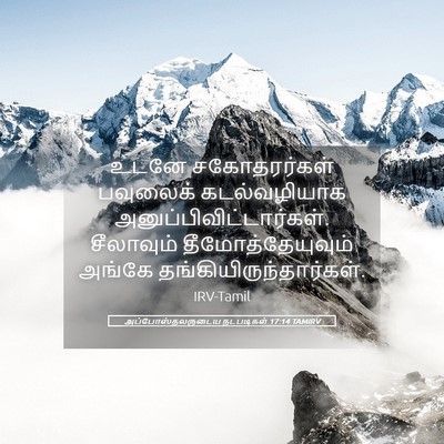 Picture 05 - அப்போஸ்தலருடைய நடபடிகள் 17:14 TAMIRV - உடனே சகோதரர்கள் - Bible Verse Picture