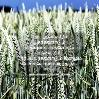 Picture 05 - அப்போஸ்தலருடைய நடபடிகள் 17:17 TAMIRV - ஜெப ஆலயத்தில் - Bible Verse Picture