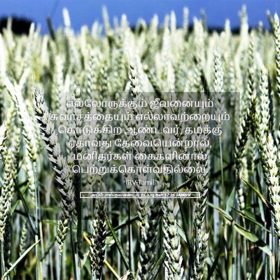 Picture 05 - அப்போஸ்தலருடைய நடபடிகள் 17:25 TAMIRV - எல்லோருக்கும் - Bible Verse Picture
