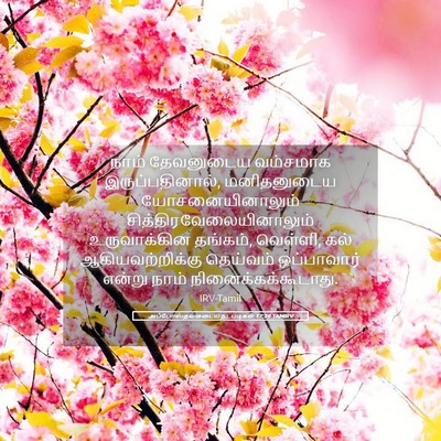 Picture 05 - அப்போஸ்தலருடைய நடபடிகள் 17:29 TAMIRV - நாம் தேவனுடைய - Bible Verse Picture
