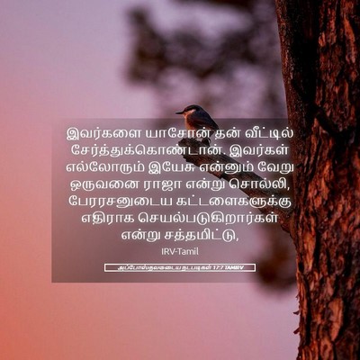 Picture 05 - அப்போஸ்தலருடைய நடபடிகள் 17:7 TAMIRV - இவர்களை யாசோன் - Bible Verse Picture