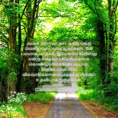 Picture 05 - அப்போஸ்தலருடைய நடபடிகள் 18:28 TAMIRV - அவன் அகாயா - Bible Verse Picture