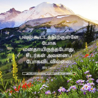 Picture 05 - அப்போஸ்தலருடைய நடபடிகள் 19:30 TAMIRV - பவுல் - Bible Verse Picture