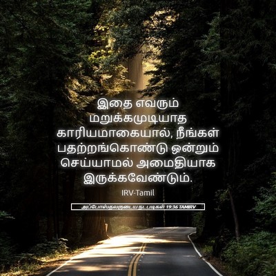 Picture 05 - அப்போஸ்தலருடைய நடபடிகள் 19:36 TAMIRV - இதை எவரும் - Bible Verse Picture