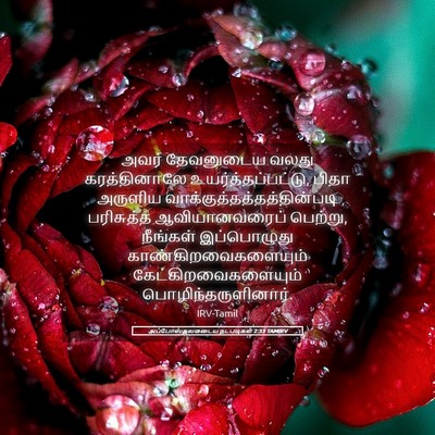 Picture 05 - அப்போஸ்தலருடைய நடபடிகள் 2:33 TAMIRV - அவர் தேவனுடைய - Bible Verse Picture