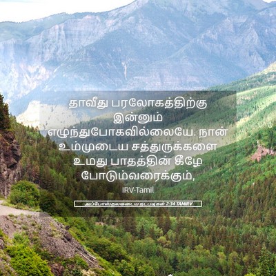 Picture 05 - அப்போஸ்தலருடைய நடபடிகள் 2:34 TAMIRV - தாவீது - Bible Verse Picture
