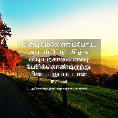 Picture 05 - அப்போஸ்தலருடைய நடபடிகள் 20:11 TAMIRV - பின்பு மேலே - Bible Verse Picture