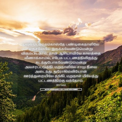 Picture 05 - அப்போஸ்தலருடைய நடபடிகள் 20:16 TAMIRV - பவுல் - Bible Verse Picture