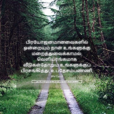 Picture 05 - அப்போஸ்தலருடைய நடபடிகள் 20:20 TAMIRV -  - Bible Verse Picture