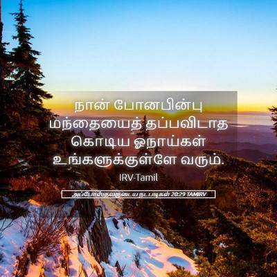 Picture 05 - அப்போஸ்தலருடைய நடபடிகள் 20:29 TAMIRV - நான் போனபின்பு - Bible Verse Picture