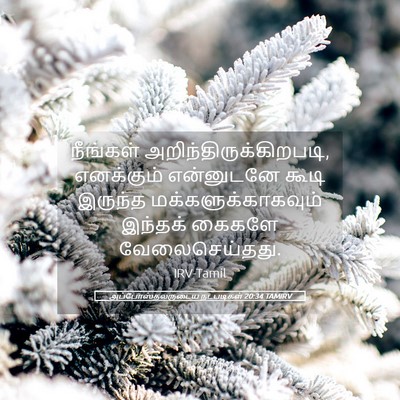 Picture 05 - அப்போஸ்தலருடைய நடபடிகள் 20:34 TAMIRV - நீங்கள் - Bible Verse Picture