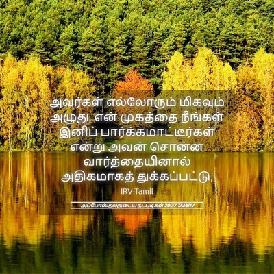 Picture 05 - அப்போஸ்தலருடைய நடபடிகள் 20:37 TAMIRV - அவர்கள் எல்லோரும் - Bible Verse Picture