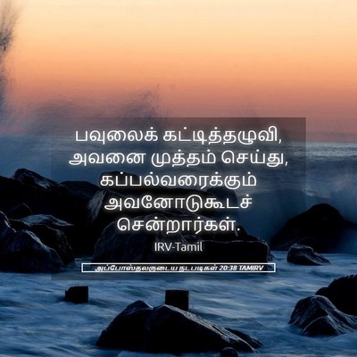 Picture 05 - அப்போஸ்தலருடைய நடபடிகள் 20:38 TAMIRV - பவுலைக் - Bible Verse Picture