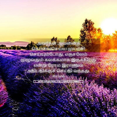 Picture 05 - அப்போஸ்தலருடைய நடபடிகள் 21:31 TAMIRV - அவர்கள் அவனைக் - Bible Verse Picture