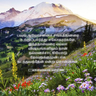 Picture 05 - அப்போஸ்தலருடைய நடபடிகள் 23:1 TAMIRV - பவுல் ஆலோசனைச் - Bible Verse Picture