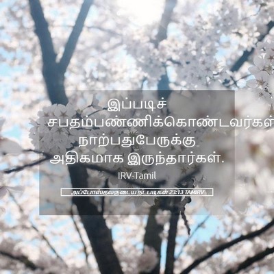 Picture 05 - அப்போஸ்தலருடைய நடபடிகள் 23:13 TAMIRV - இப்படிச் - Bible Verse Picture