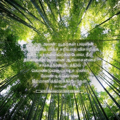 Picture 05 - அப்போஸ்தலருடைய நடபடிகள் 23:20 TAMIRV - அதற்கு அவன்: - Bible Verse Picture