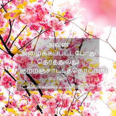 Picture 05 - அப்போஸ்தலருடைய நடபடிகள் 24:2 TAMIRV - அவன் - Bible Verse Picture