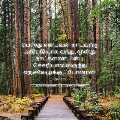 Picture 05 - அப்போஸ்தலருடைய நடபடிகள் 25:1 TAMIRV - பெஸ்து என்பவன் - Bible Verse Picture