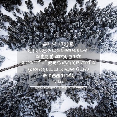 Picture 05 - அப்போஸ்தலருடைய நடபடிகள் 25:18 TAMIRV - அப்பொழுது - Bible Verse Picture