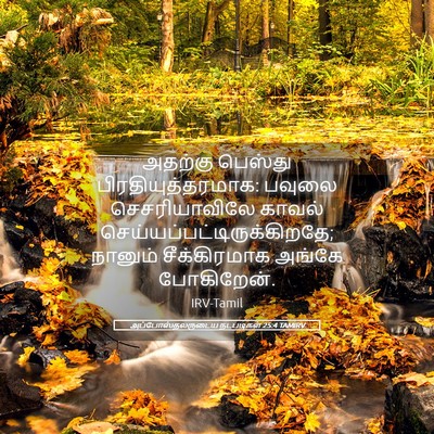 Picture 05 - அப்போஸ்தலருடைய நடபடிகள் 25:4 TAMIRV - அதற்கு பெஸ்து - Bible Verse Picture
