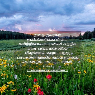 Picture 05 - அப்போஸ்தலருடைய நடபடிகள் 27:17 TAMIRV - அதை அவர்கள் - Bible Verse Picture