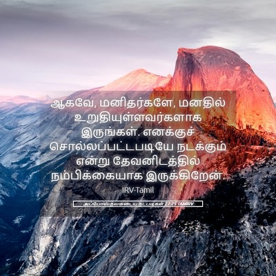 Picture 05 - அப்போஸ்தலருடைய நடபடிகள் 27:25 TAMIRV - ஆகவே, மனிதர்களே, - Bible Verse Picture
