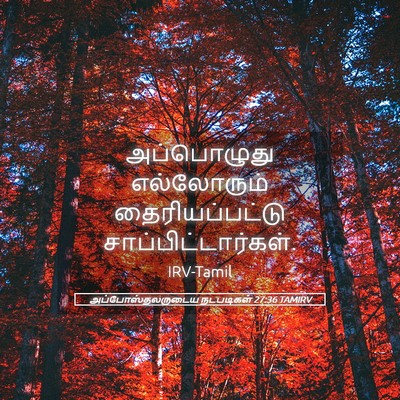 Picture 05 - அப்போஸ்தலருடைய நடபடிகள் 27:36 TAMIRV - அப்பொழுது - Bible Verse Picture