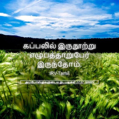 Picture 05 - அப்போஸ்தலருடைய நடபடிகள் 27:37 TAMIRV - கப்பலில் - Bible Verse Picture