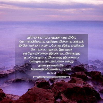 Picture 05 - அப்போஸ்தலருடைய நடபடிகள் 28:4 TAMIRV - விரியன்பாம்பு - Bible Verse Picture