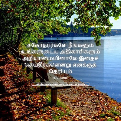 Picture 05 - அப்போஸ்தலருடைய நடபடிகள் 3:17 TAMIRV - சகோதரர்களே - Bible Verse Picture