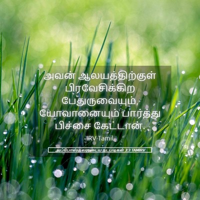 Picture 05 - அப்போஸ்தலருடைய நடபடிகள் 3:3 TAMIRV - அவன் - Bible Verse Picture