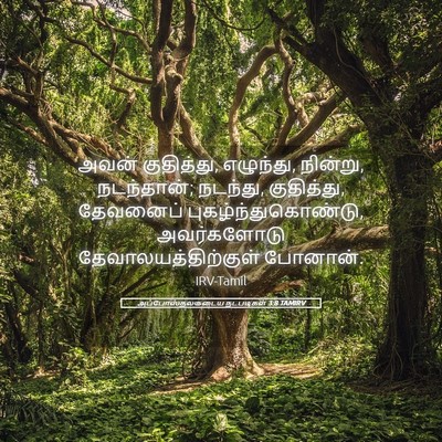 Picture 05 - அப்போஸ்தலருடைய நடபடிகள் 3:8 TAMIRV - அவன் குதித்து, - Bible Verse Picture