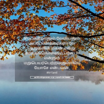 Picture 05 - அப்போஸ்தலருடைய நடபடிகள் 4:36 TAMIRV - சீப்புருதீவானும் - Bible Verse Picture