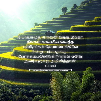 Picture 05 - அப்போஸ்தலருடைய நடபடிகள் 5:25 TAMIRV - அப்பொழுது ஒருவன் - Bible Verse Picture