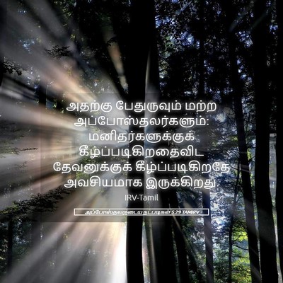 Picture 05 - அப்போஸ்தலருடைய நடபடிகள் 5:29 TAMIRV - அதற்கு பேதுருவும் - Bible Verse Picture