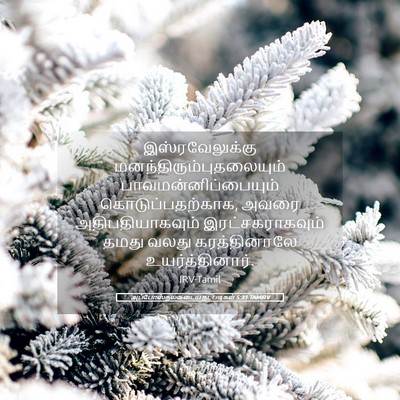 Picture 05 - அப்போஸ்தலருடைய நடபடிகள் 5:31 TAMIRV - இஸ்ரவேலுக்கு - Bible Verse Picture