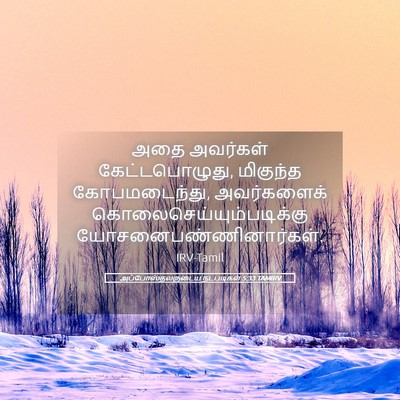 Picture 05 - அப்போஸ்தலருடைய நடபடிகள் 5:33 TAMIRV - அதை அவர்கள் - Bible Verse Picture