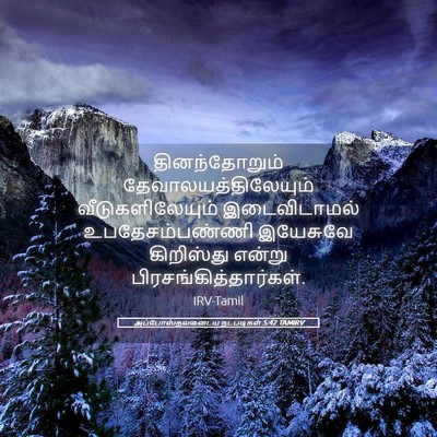 Picture 05 - அப்போஸ்தலருடைய நடபடிகள் 5:42 TAMIRV - தினந்தோறும் - Bible Verse Picture