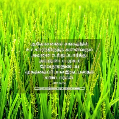 Picture 05 - அப்போஸ்தலருடைய நடபடிகள் 6:15 TAMIRV - ஆலோசனைச் - Bible Verse Picture