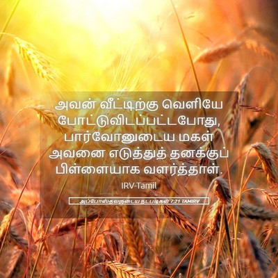 Picture 05 - அப்போஸ்தலருடைய நடபடிகள் 7:21 TAMIRV - அவன் வீட்டிற்கு - Bible Verse Picture