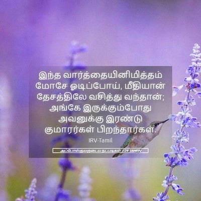 Picture 05 - அப்போஸ்தலருடைய நடபடிகள் 7:29 TAMIRV - இந்த - Bible Verse Picture