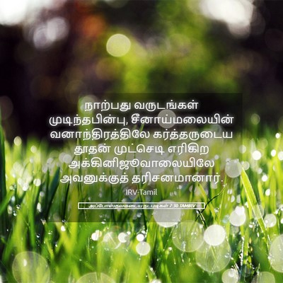 Picture 05 - அப்போஸ்தலருடைய நடபடிகள் 7:30 TAMIRV - நாற்பது வருடங்கள் - Bible Verse Picture
