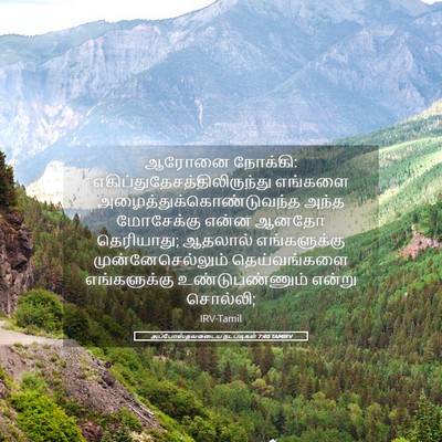 Picture 05 - அப்போஸ்தலருடைய நடபடிகள் 7:40 TAMIRV - ஆரோனை நோக்கி: - Bible Verse Picture