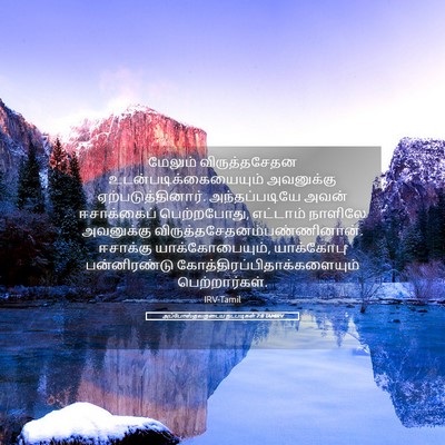 Picture 05 - அப்போஸ்தலருடைய நடபடிகள் 7:8 TAMIRV - மேலும் - Bible Verse Picture