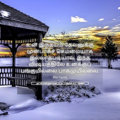 Picture 05 - அப்போஸ்தலருடைய நடபடிகள் 8:21 TAMIRV - உன் இருதயம் - Bible Verse Picture