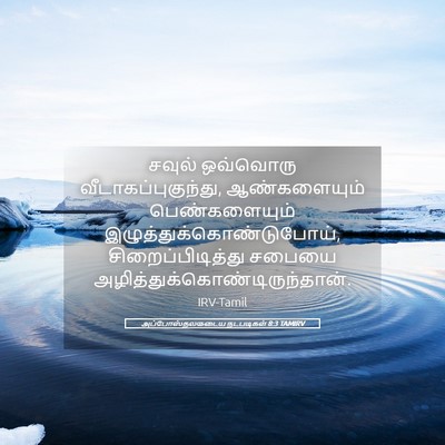 Picture 05 - அப்போஸ்தலருடைய நடபடிகள் 8:3 TAMIRV - சவுல் ஒவ்வொரு - Bible Verse Picture